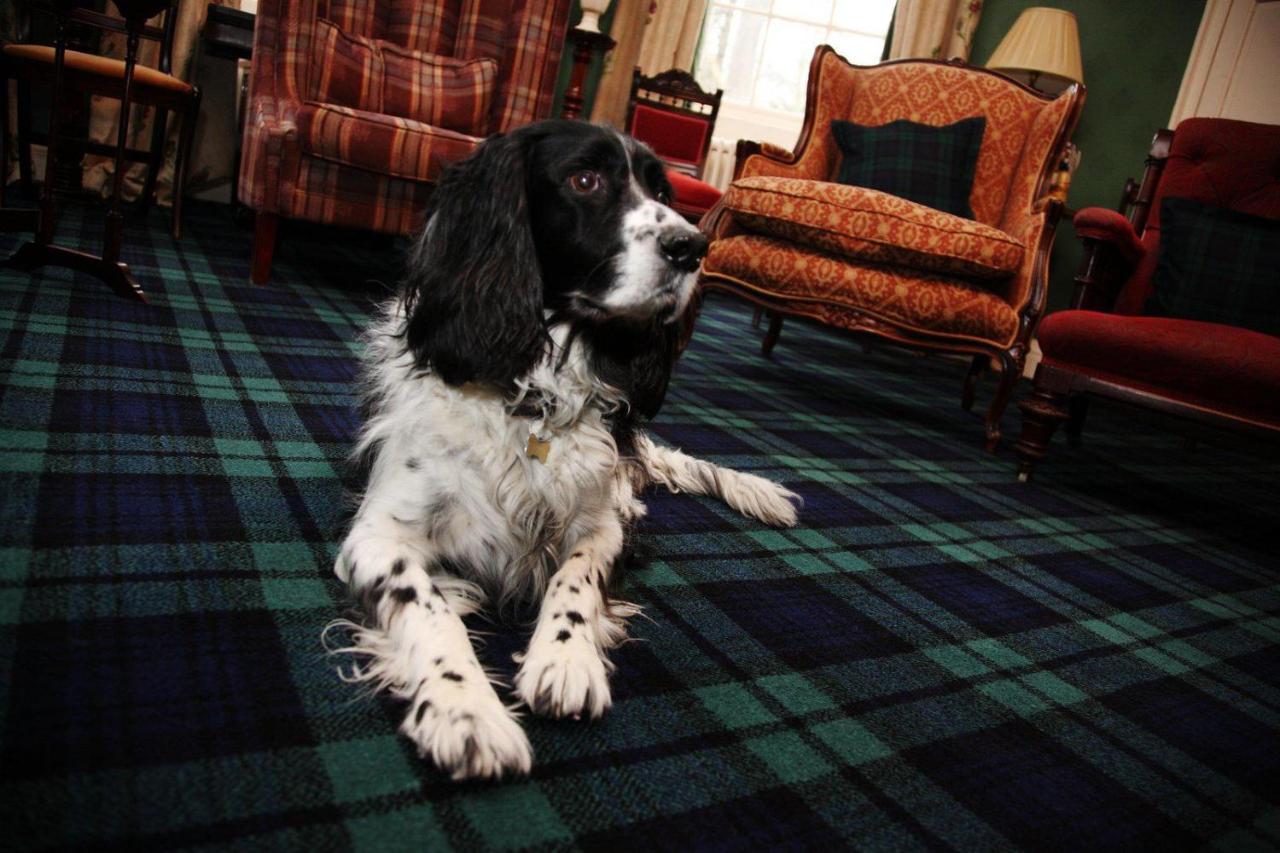 Durn House Otel Portsoy Dış mekan fotoğraf
